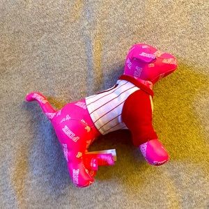 Nationals Baseball VS PINK dog